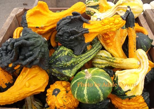 HO_Gourds