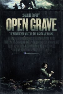 open_grave_2013