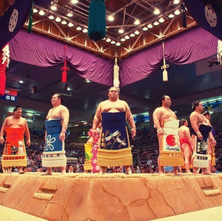 sumo