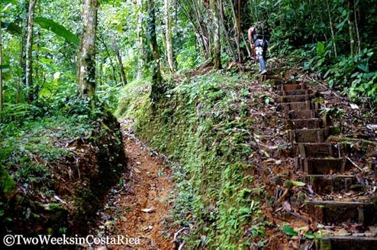 Trail to Diamante Waterfall | Two Weeks in Costa Rica