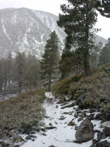 The middle of May when wildfires were burning up other parts of SoCal.