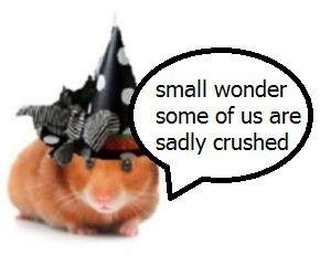 zelli8000009090g001jjjnoyooypppp