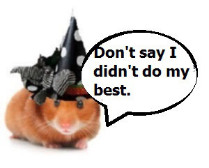 zelli8000009090g001jjjnoyooypppp0909090909