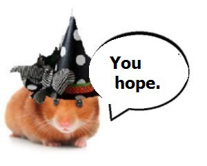 zelli8000009090g10----------------