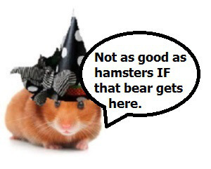 zelli8000009090g10100000