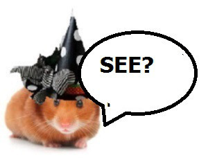 zelli8000009090g10100000000