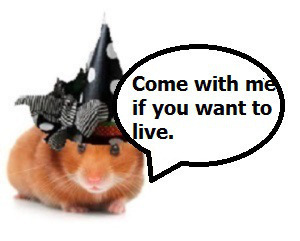 zelli8000009090g10100000000y