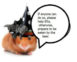 zelli8000009090g000000000000