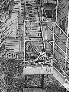 Image @ Maria Kelly: Haunted #3