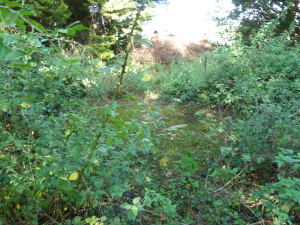 Borley Rectory