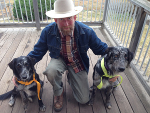 Even the dogs have gotten in on the act!