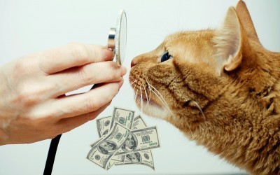 cost_of_veterinary_care