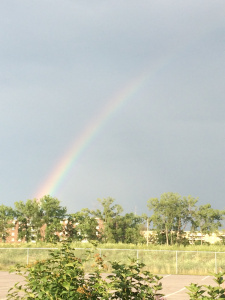2014-07-09 19.32.12