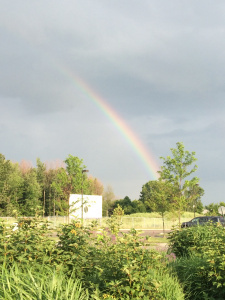 2014-07-09 19.32.26