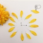 Tempo fugit. Ma dove?