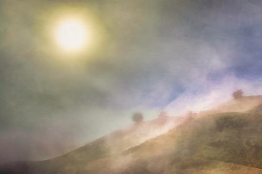 Burning off the Fog, Marin Headlands, CA © Harold Davis