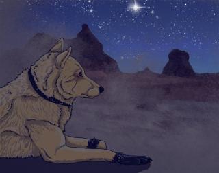  photo imagejpg3_zps8c930893.jpg