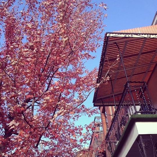 Aimer l'automne prise 3 #lanaturedansmaville #igersmtl #qc #mtl