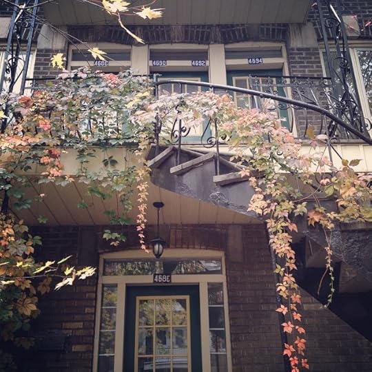 Dernières couleures #igersmtl #mtl #pmr #plateau