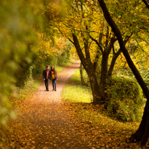 Lovers walking hand in hand in autumn park