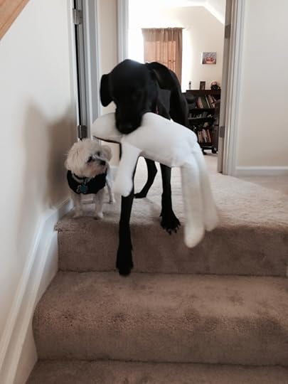 Mama gave me a voodoo doll as a present. 