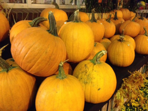 Pumpkinphoto