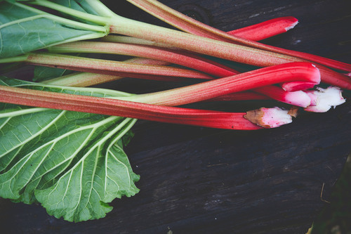 rhubarb