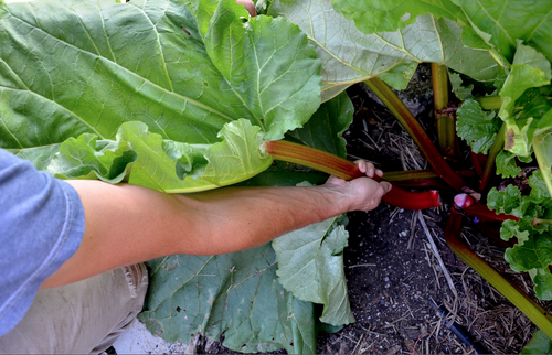 Screen Shot 2014-03-05 at 12.31.17 PM.png