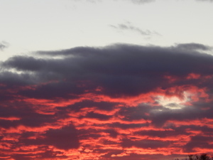 Proof that God loves us and wants us to be happy!