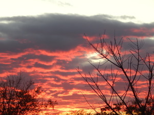 DSCN3206