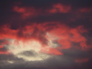 DSCN3204