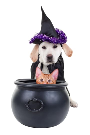 Halloween Witch