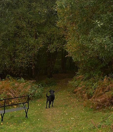 The path ahead