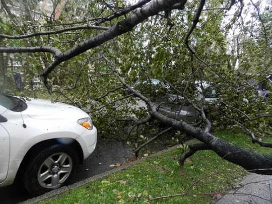 8138299645_66815a4262_z