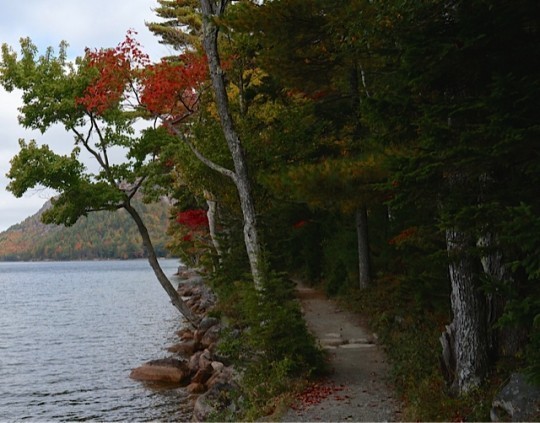 Jordan Pond trail, Acadia National Park, Maine