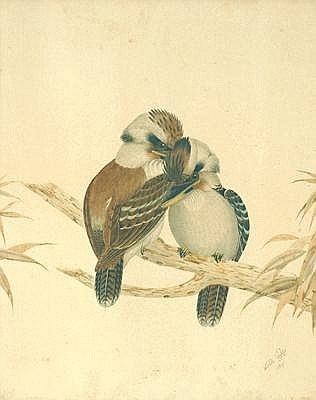 Kookaburra by Neville Henry Cayley (1853-1903)