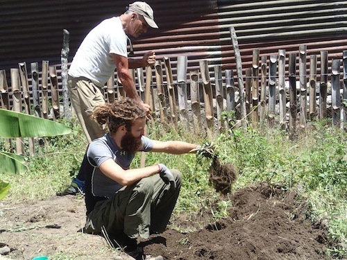 1004691_384739388319636_1079630581_n