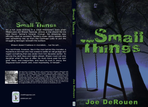 Small Things - Full cover