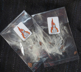 KimMilkweedSeeds