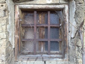 30112012237_by_balenaucigasa-d823oew