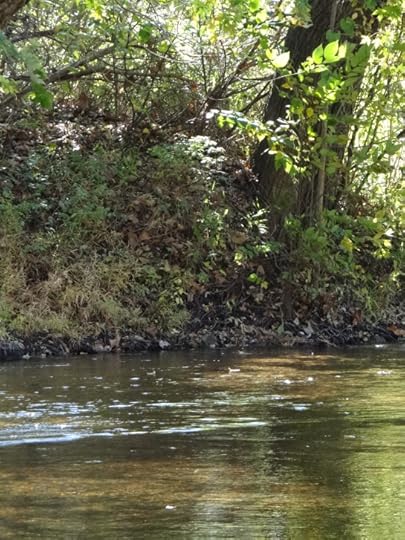 River in Leasburg, Missouri