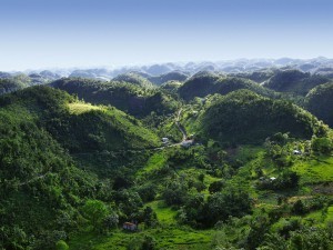 jamaica-blue-mountains