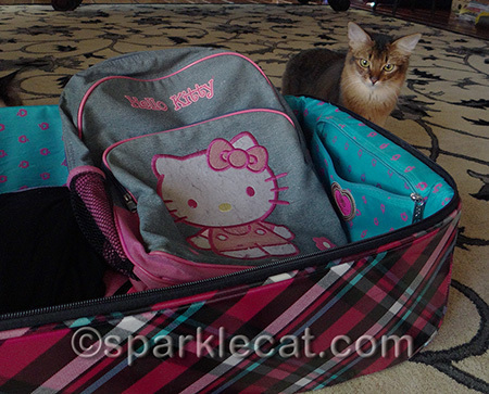 I bet her whole suitcase is going to smell like catnip and treats