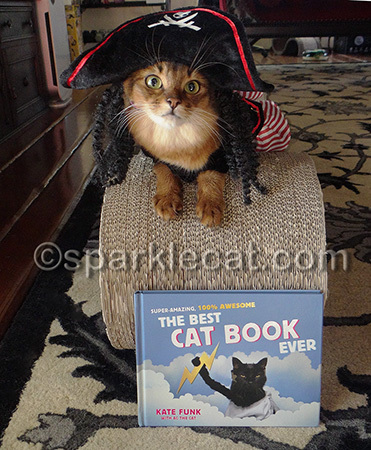 Can we do a book review soon for a cat that does NOT dress up?