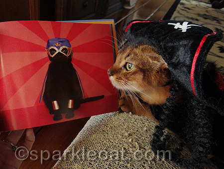 My human's friends combine Lucha Libre with burlesque! But not with kitties