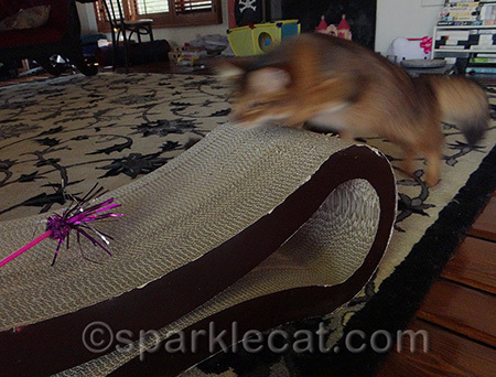 That toy is totally dead now!