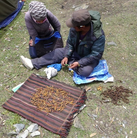 childs-Tibet-photo