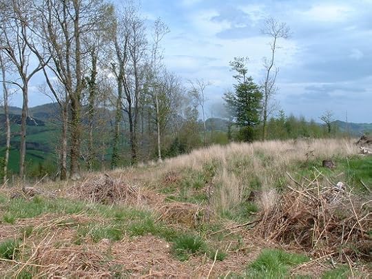 The_Ramparts_-_geograph.org.uk_-_165992