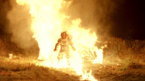 fire_low_search for the last flower_Vashti Quiroz-Vega_blog