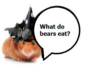 zbear1xxx0021........